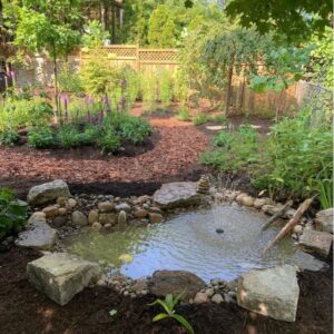 Native Roots Landscaping Native Roots Landscaping