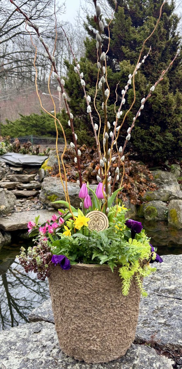 Individual Seasonal Planter- CURRENTLY OUT OF STOCK