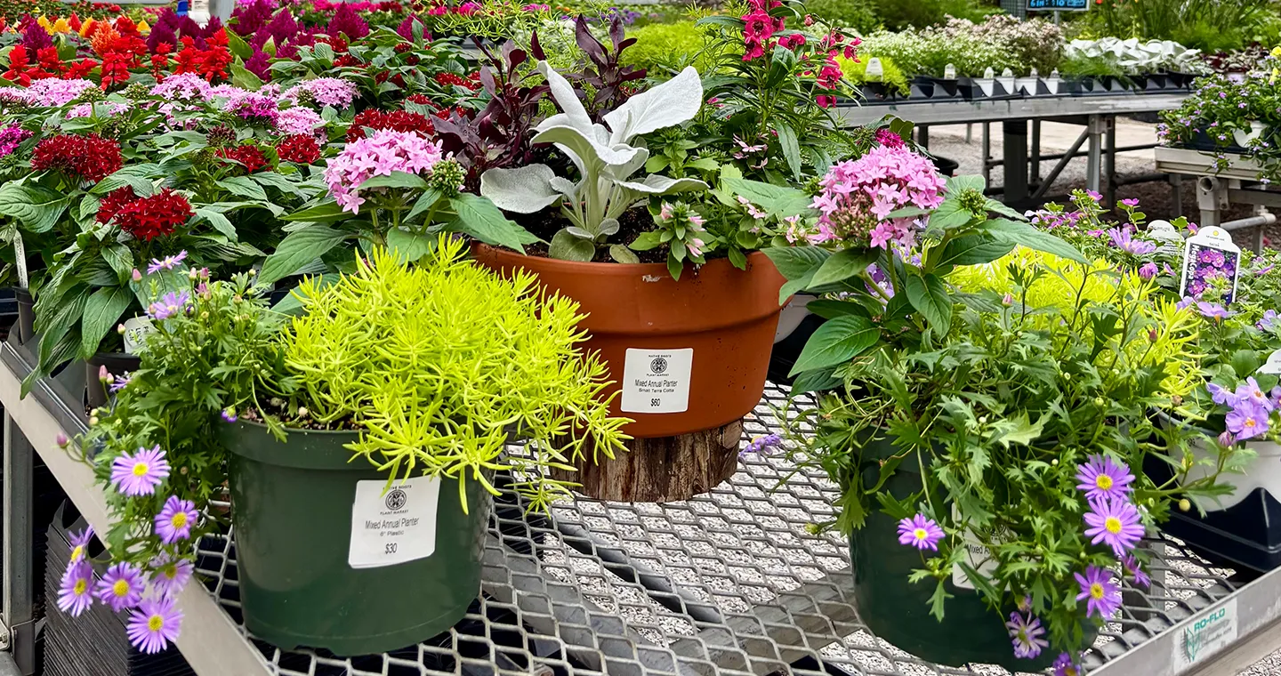 subscription_popup_featured