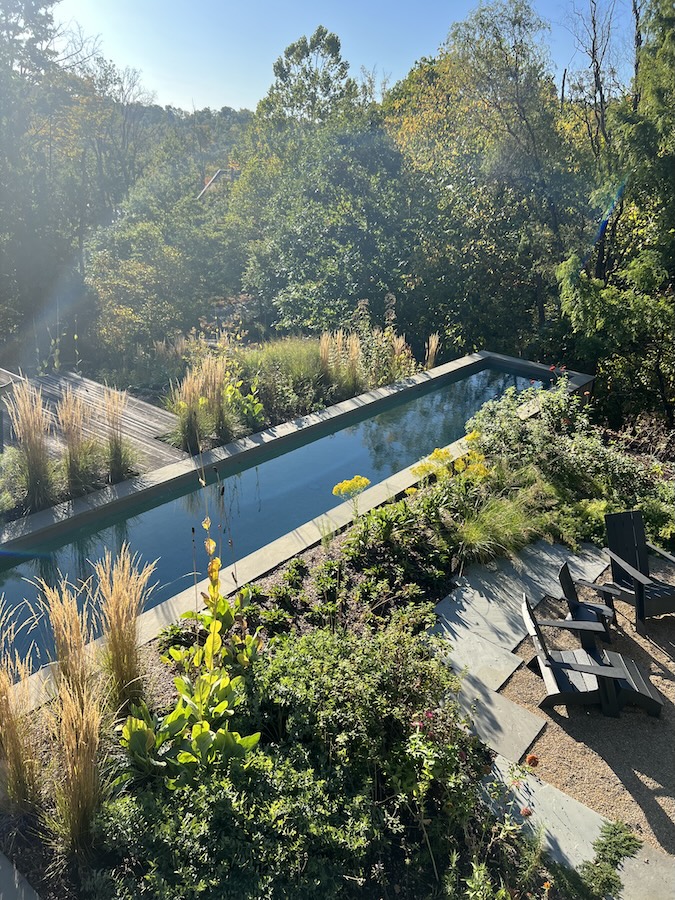 Recently maintained landscape